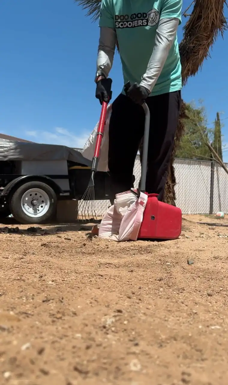 Scoop Doggy Logs technician bagging dog waste during an Inland Empire yard cleanup