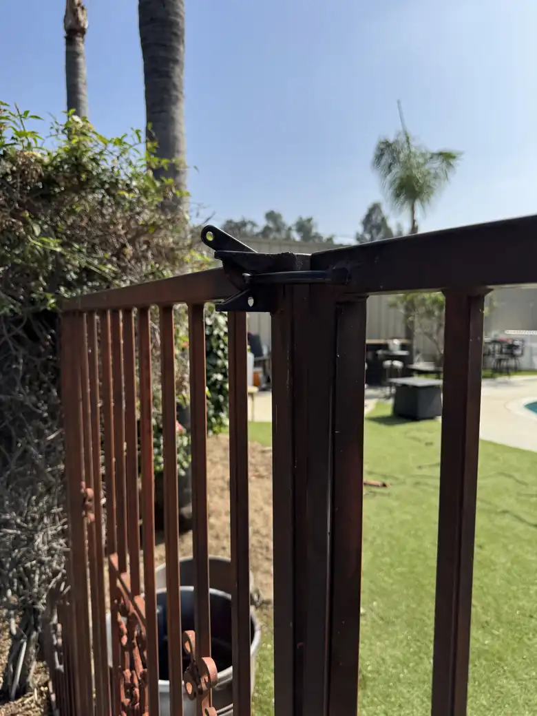 Dog behind a latched Inland Empire backyard gate after service