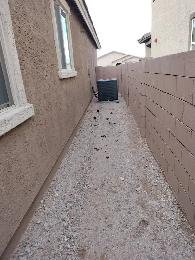 Inland Empire side yard with visible dog waste along the perimeter